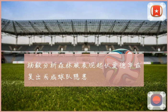 杨毅分析森林狼表现起伏爱德华兹复出或成球队隐患